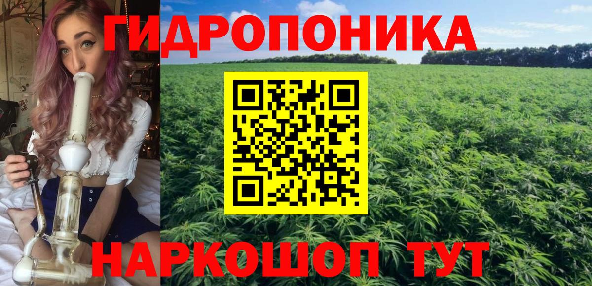 Шишки марихуана семена  Бошки Шишки White Widow  Вход с VPN  Бошки Шишки Ganja  Пыть-Ях 